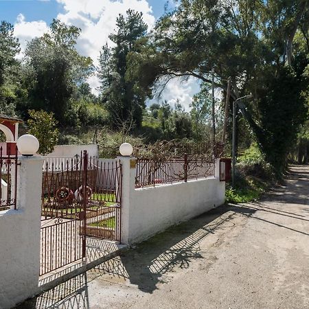 Merlyn Rooms Into The Nature, 100M From The Beach Δαφνίλα Εξωτερικό φωτογραφία