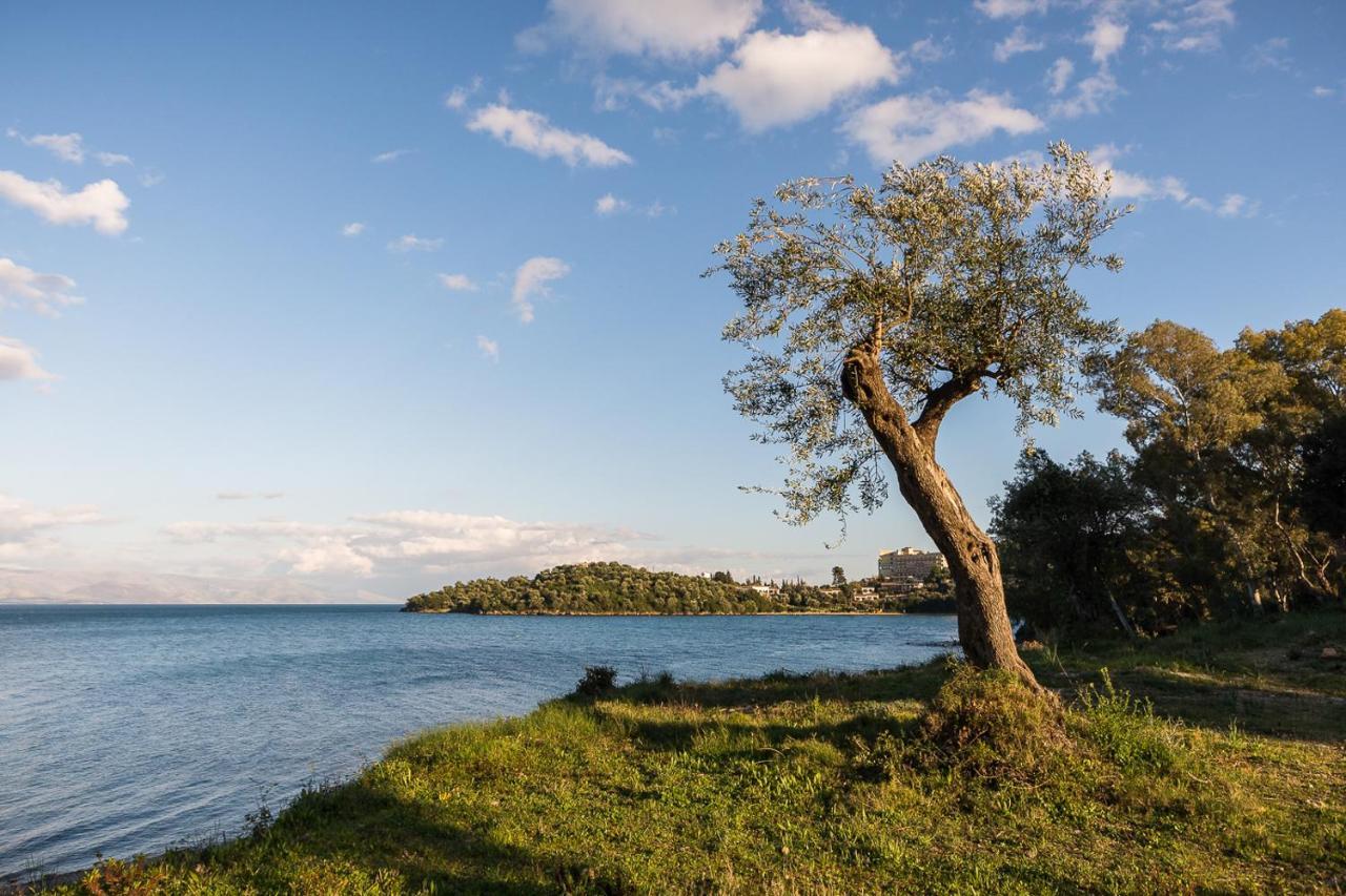 Merlyn Rooms Into The Nature, 100M From The Beach Δαφνίλα Εξωτερικό φωτογραφία