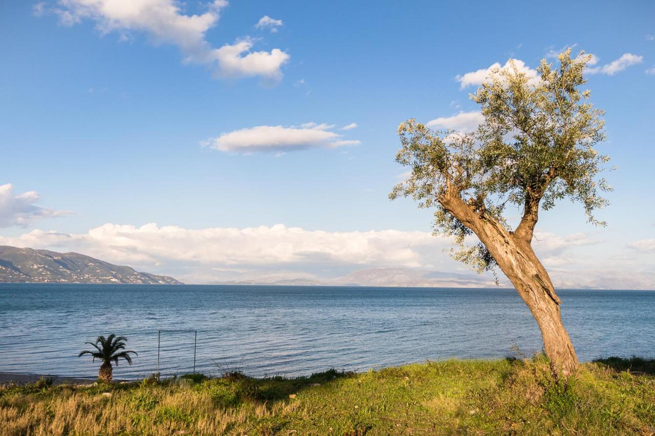 Merlyn Rooms Into The Nature, 100M From The Beach Δαφνίλα Εξωτερικό φωτογραφία